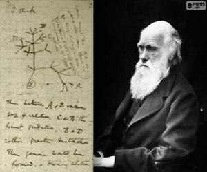 пазл Чарльз Дарвин (1809-1882), британский биолог